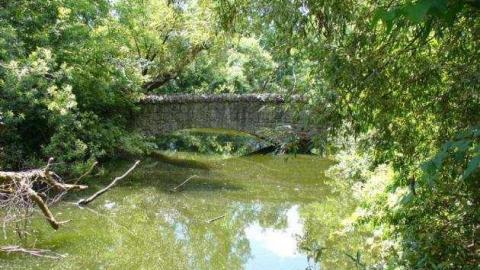 Riverdale Farm (Zoo) photo 5