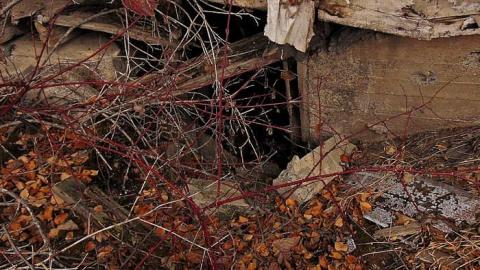 O'Connor Manor photo 4