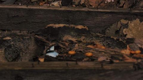 O'Connor Manor - O'connor, Ontario