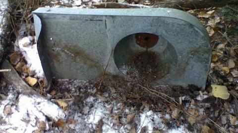 What Remains - My-Place2.jpg