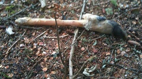 What Remains - My-Place4.jpg