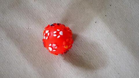 Eagle Has Crashed Landed - DSC06818.jpg