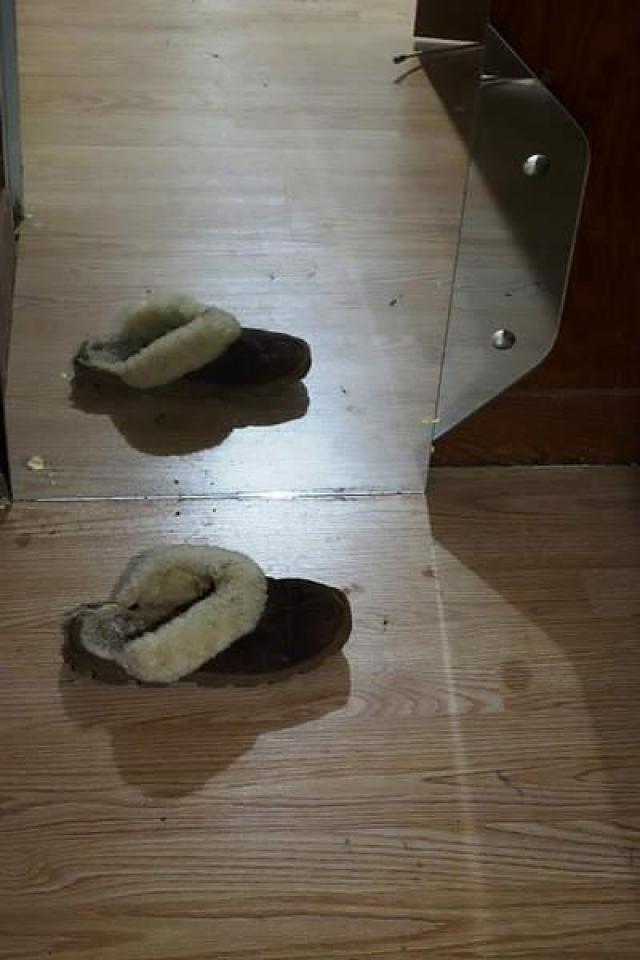 Polar Bearing Gifts photo 2