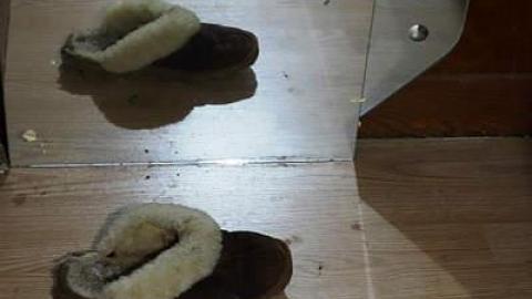 Polar Bearing Gifts photo 2