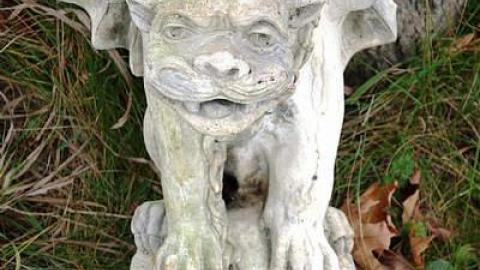 Eagle Has Crashed Landed - DSC06909.jpg