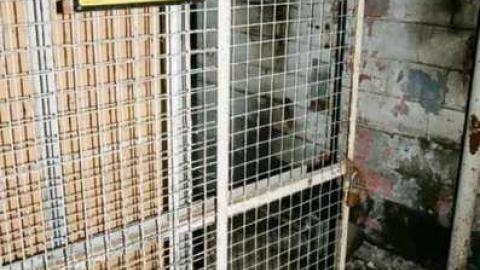 Cadet Cleaners photo 2