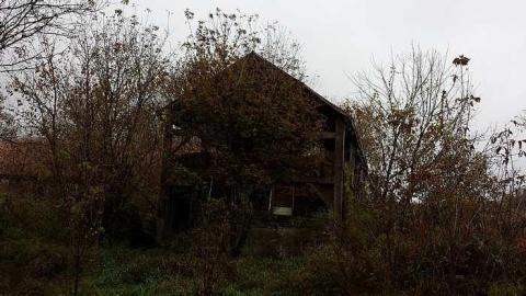 Another farm on the Werry esta - Very-Werry-Estate5.jpg