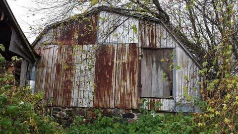 Another farm on the Werry esta - Very-Werry-Estate41.jpg