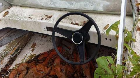 Another farm on the Werry esta - Very-Werry-Estate9.jpg