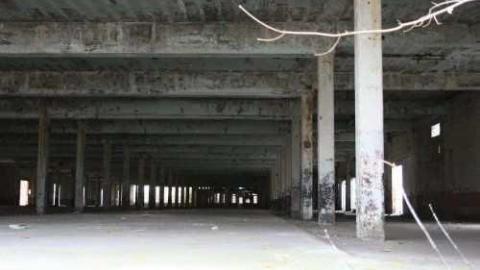 Gallery - American-Can-Plant-Simcoe6.jpg