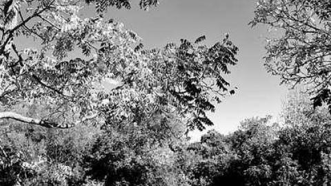 outside - DSC_0064.jpg