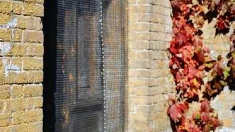 outside - DSC_0052.jpg