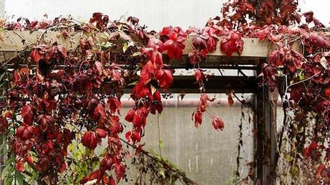 Photo Session - Oct 18th - European-Wicker-Imports147.jpg