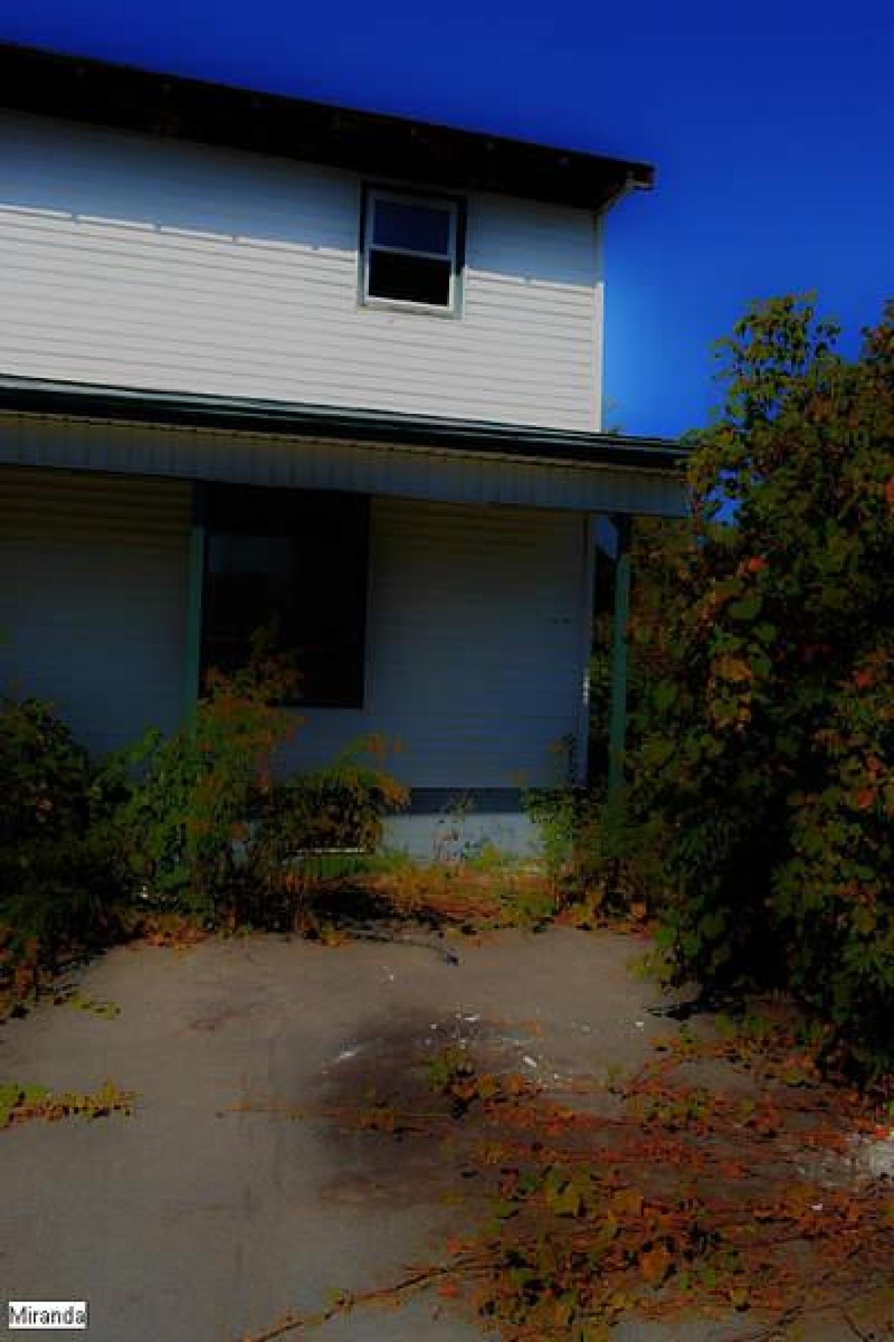 Random Find - DSC_sds0017.jpg