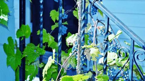 Random house on Gore Rd photo 3