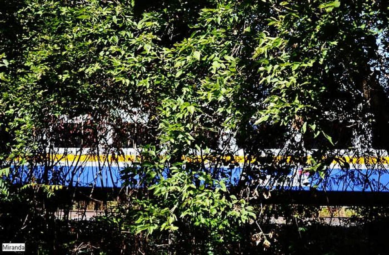 Random Find - via.jpg