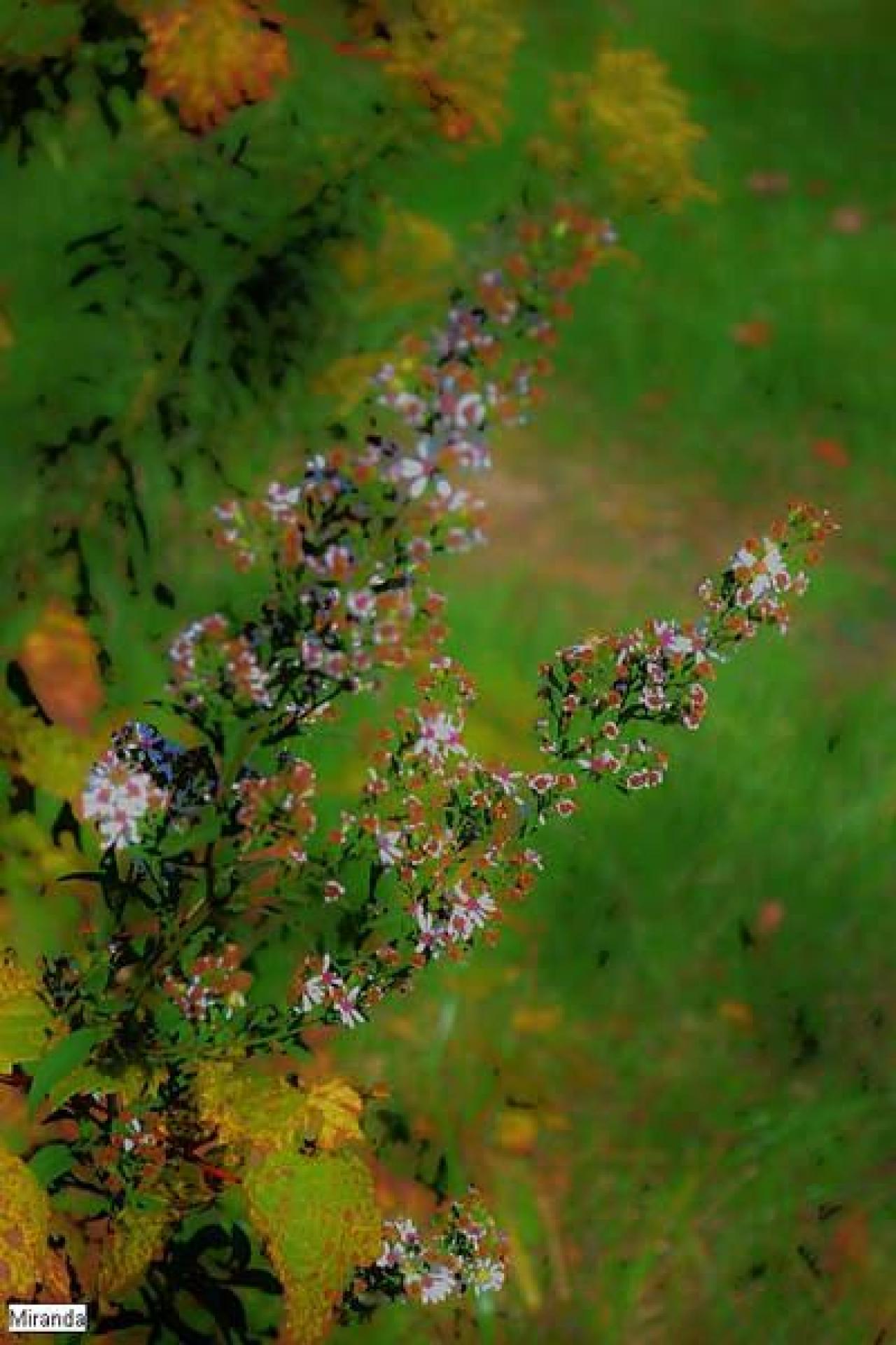 Random Find - sdaf.jpg