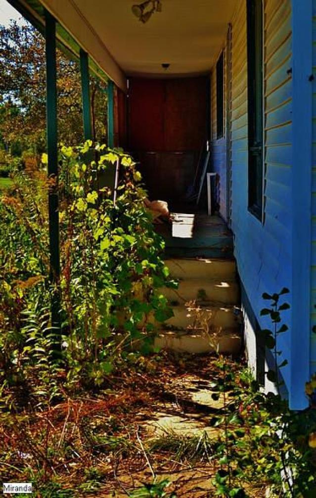 Random Find - scd.jpg