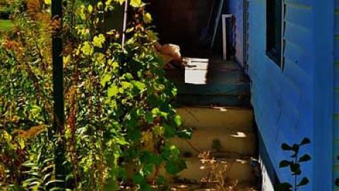 Random Find - scd.jpg