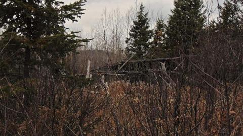 Stubby House - Collapsing-Stubby-House3.jpg