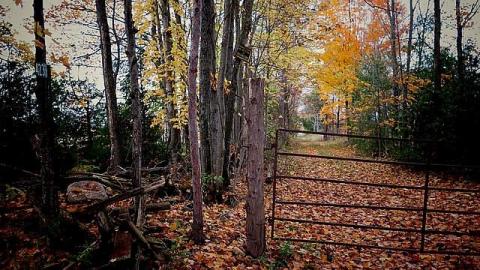 Rub a Dub Dub - TH2.jpg