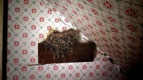 Spooky Tub House photo 2