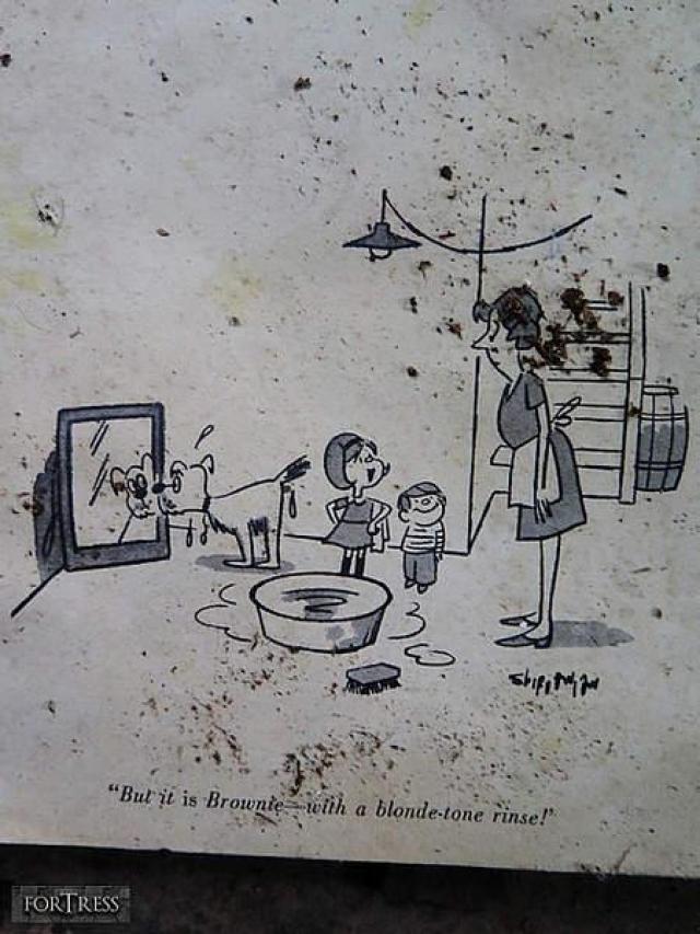 Spooky Tub House photo 3