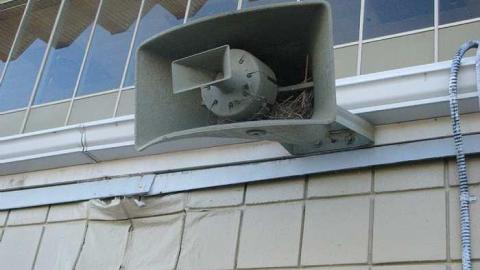 Raceway - Windsor-Raceway27.jpg