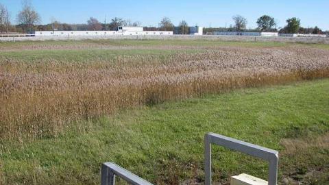 Raceway - Windsor-Raceway19.jpg