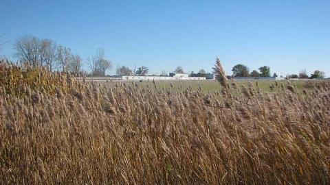 Raceway - Windsor-Raceway17.jpg