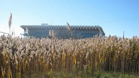 Raceway - Windsor-Raceway41.jpg