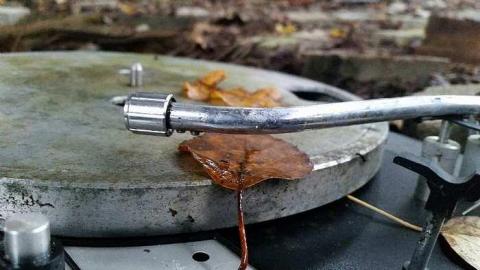 Donald Plant 10-22-2014 - Donald-(ghost-chemical-plant)101.jpg