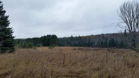 Donald Plant 10-22-2014 - Donald-(ghost-chemical-plant)110.jpg