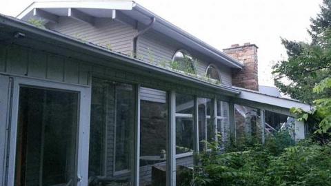 Vandals - Abandoned-Cat-Lady-House245.jpg