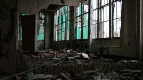 Gallery - American-Can-Plant-Simcoe13.jpg