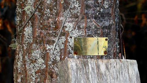 Madawaska Valley Shrine photo 4