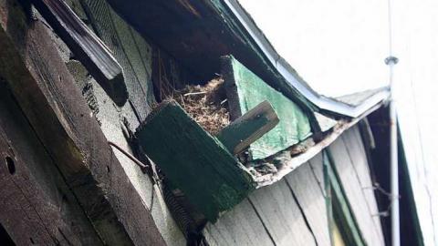 Brudenell - Sept 2014 - Opeongo-Road-Ghost-Towns53.jpg