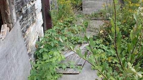 Brudenell - Sept 2014 - Opeongo-Road-Ghost-Towns54.jpg