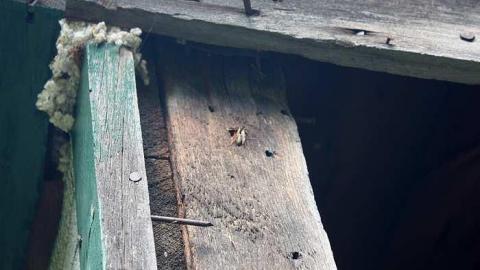 Photo from Brudenell - Sept 2014