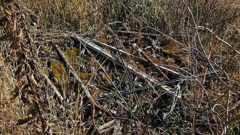 Garbageland - Garbageland10.jpg