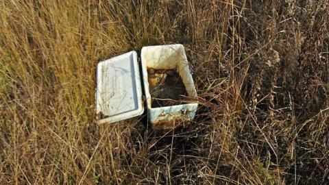 Garbageland - Garbageland14.jpg