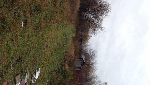 Nash rd 407 - 407-Extension-Nash20.jpg