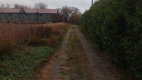 Nash rd 407 - 407-Extension-Nash2.jpg