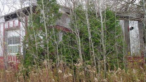 Oct 2013 - Keeping-Up-Appearances21.jpg