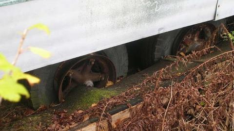 Oct 2013 - Keeping-Up-Appearances28.jpg