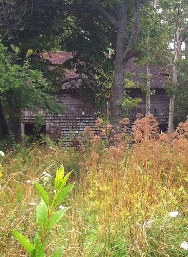 2014 - abandon 4.jpg