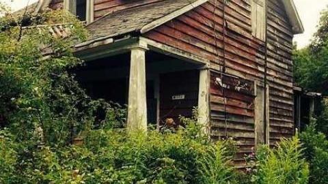 2014 - abandon 5.jpg