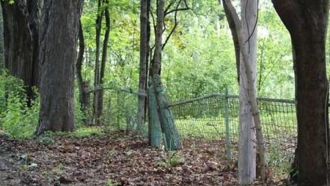 Brougham - Brougham41.jpg