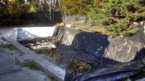 Pinchin Not Bitchin - Mr.-and-Mrs.-Sauga11.jpg