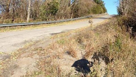 Nov 2014 photos - pkimage.jpg